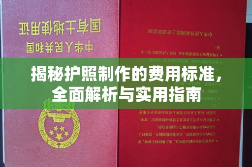 阜阳揭秘护照制作的费用标准，全面解析与实用指南