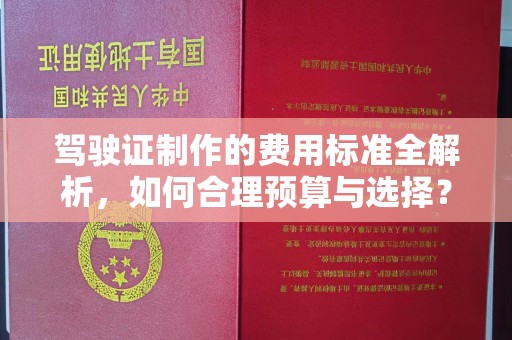 阜阳驾驶证制作的费用标准全解析，如何合理预算与选择？