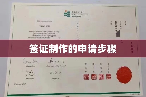阜阳签证制作的申请步骤