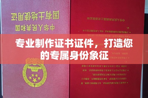阜阳专业制作证书证件，打造您的专属身份象征