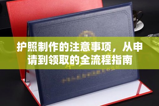 阜阳护照制作的注意事项，从申请到领取的全流程指南