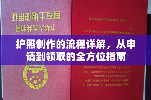 阜阳护照制作的流程详解，从申请到领取的全方位指南