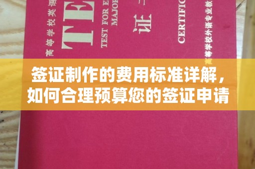 阜阳签证制作的费用标准详解，如何合理预算您的签证申请成本